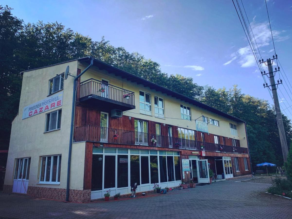 Hotel Pensiunea Pastravul Cîrţişoara Zewnętrze zdjęcie