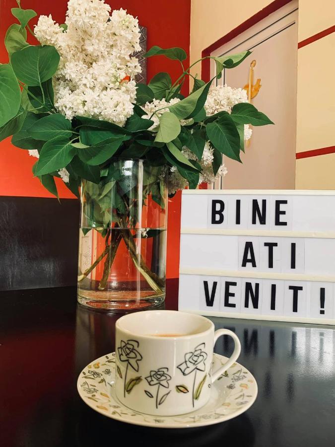 Hotel Pensiunea Pastravul Cîrţişoara Zewnętrze zdjęcie