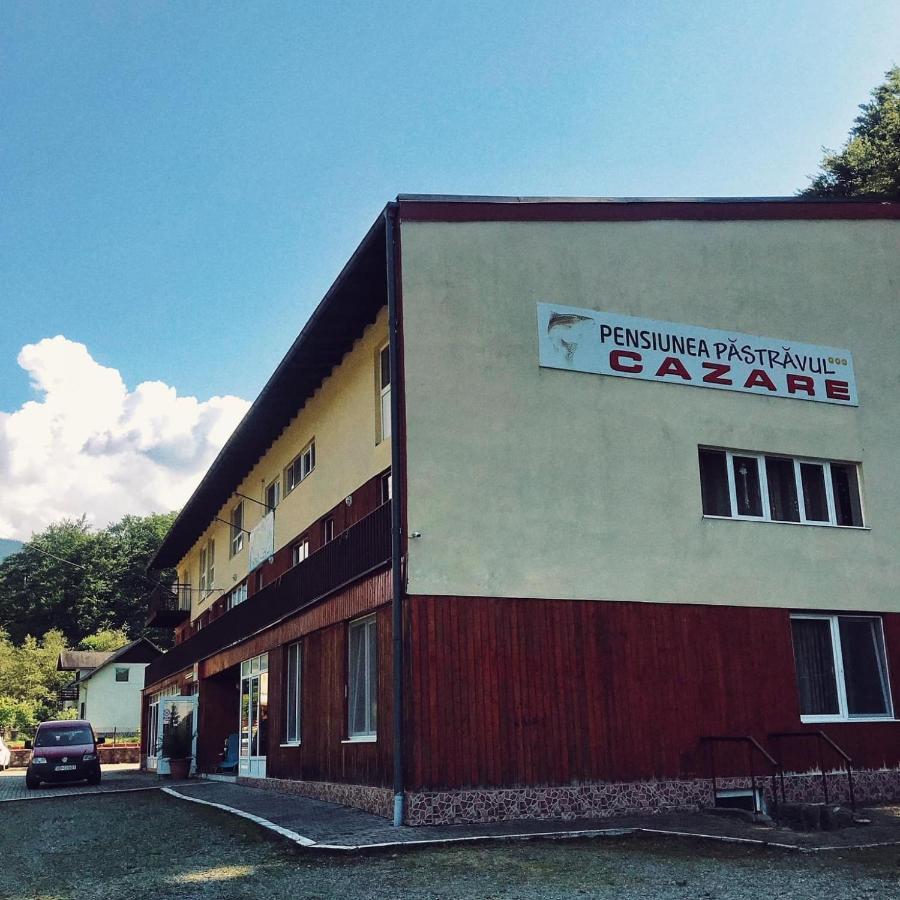 Hotel Pensiunea Pastravul Cîrţişoara Zewnętrze zdjęcie