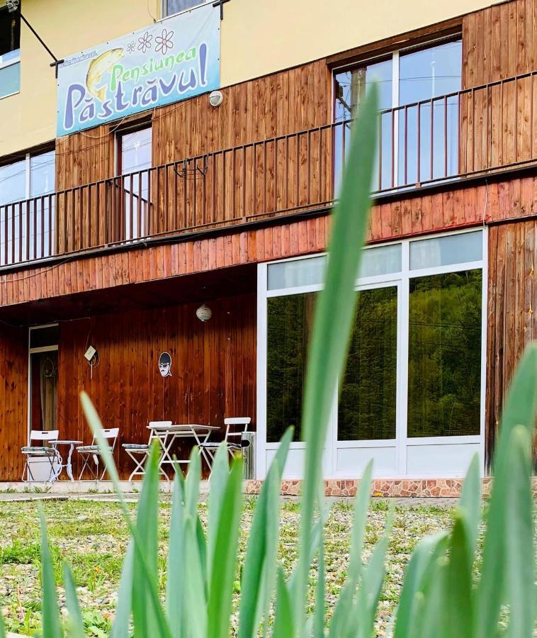 Hotel Pensiunea Pastravul Cîrţişoara Zewnętrze zdjęcie