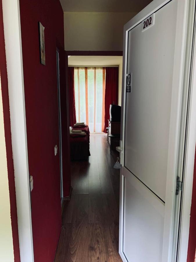 Hotel Pensiunea Pastravul Cîrţişoara Zewnętrze zdjęcie