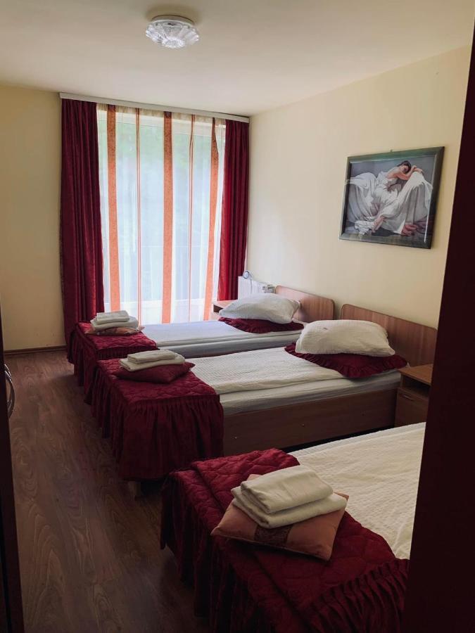 Hotel Pensiunea Pastravul Cîrţişoara Zewnętrze zdjęcie