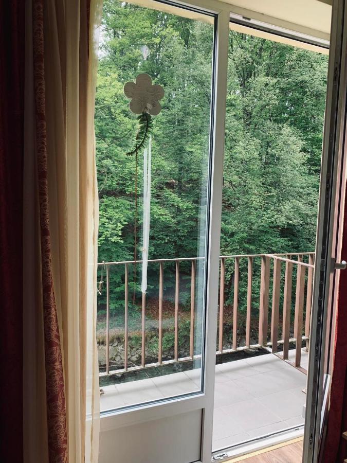 Hotel Pensiunea Pastravul Cîrţişoara Zewnętrze zdjęcie