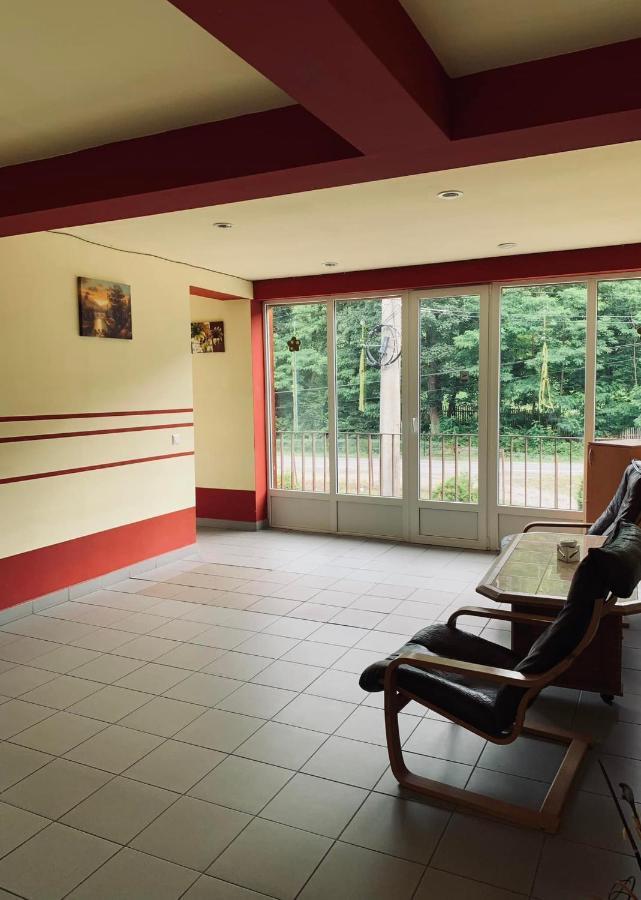Hotel Pensiunea Pastravul Cîrţişoara Zewnętrze zdjęcie