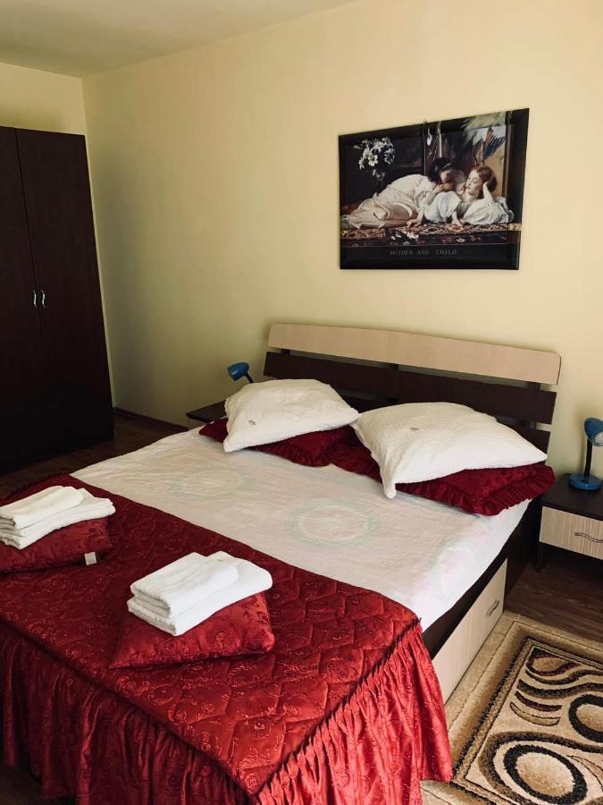Hotel Pensiunea Pastravul Cîrţişoara Zewnętrze zdjęcie