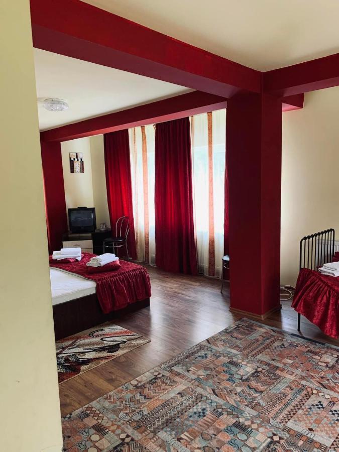 Hotel Pensiunea Pastravul Cîrţişoara Zewnętrze zdjęcie