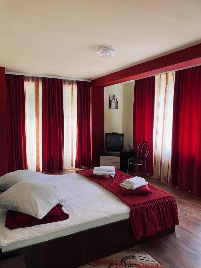 Hotel Pensiunea Pastravul Cîrţişoara Zewnętrze zdjęcie
