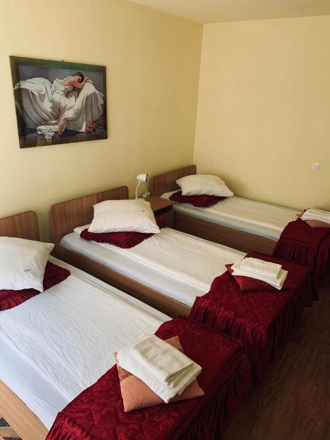 Hotel Pensiunea Pastravul Cîrţişoara Zewnętrze zdjęcie