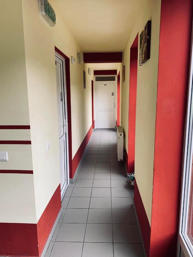 Hotel Pensiunea Pastravul Cîrţişoara Zewnętrze zdjęcie