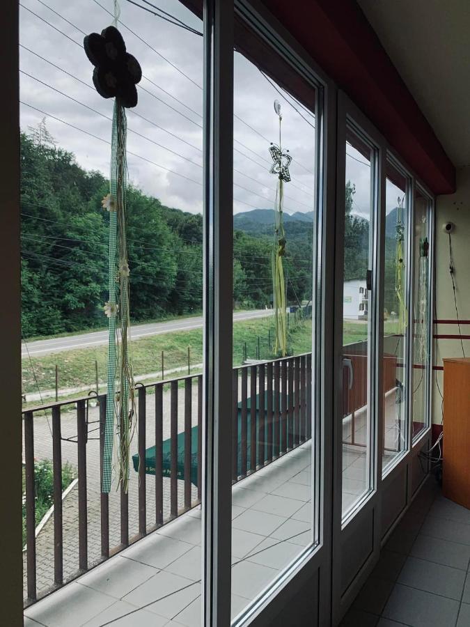 Hotel Pensiunea Pastravul Cîrţişoara Zewnętrze zdjęcie