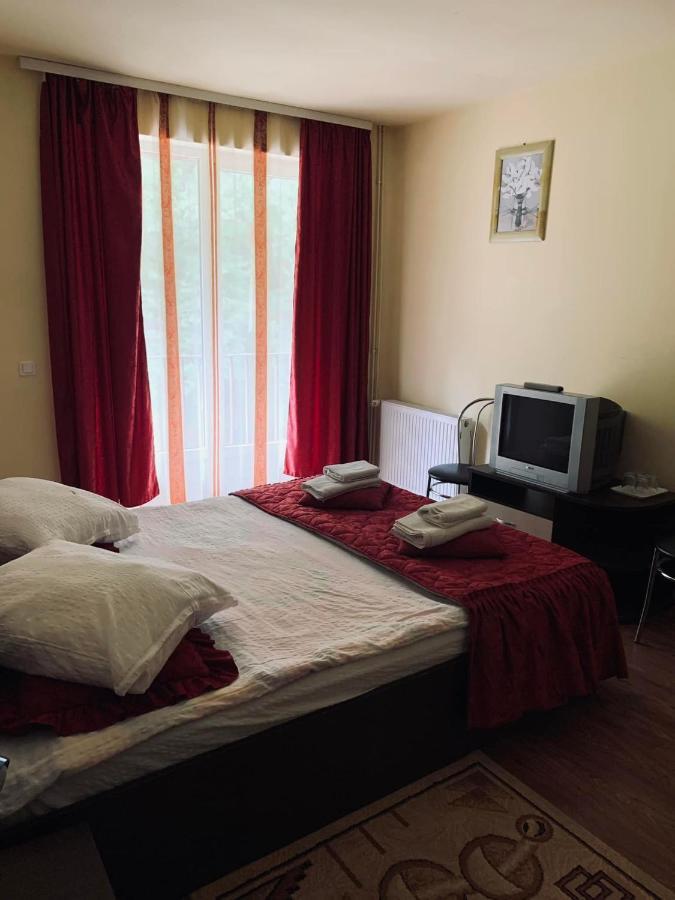 Hotel Pensiunea Pastravul Cîrţişoara Zewnętrze zdjęcie