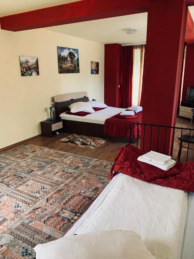 Hotel Pensiunea Pastravul Cîrţişoara Zewnętrze zdjęcie