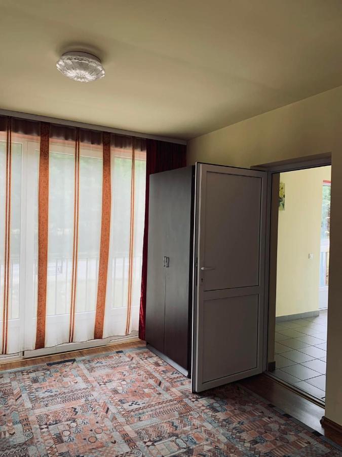 Hotel Pensiunea Pastravul Cîrţişoara Zewnętrze zdjęcie