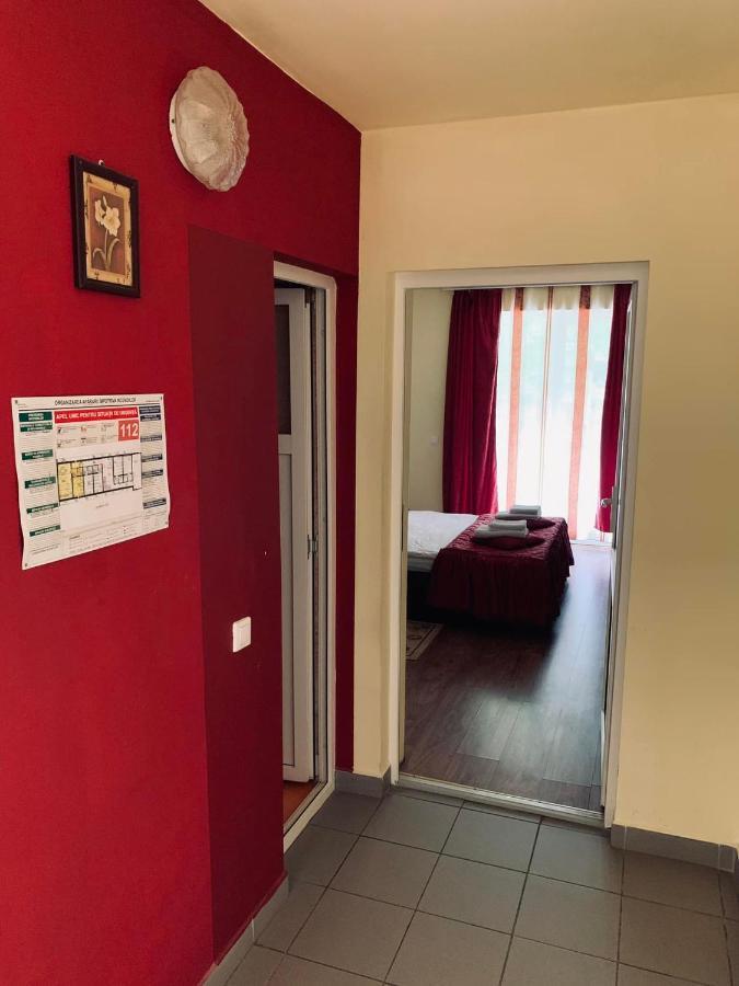 Hotel Pensiunea Pastravul Cîrţişoara Zewnętrze zdjęcie