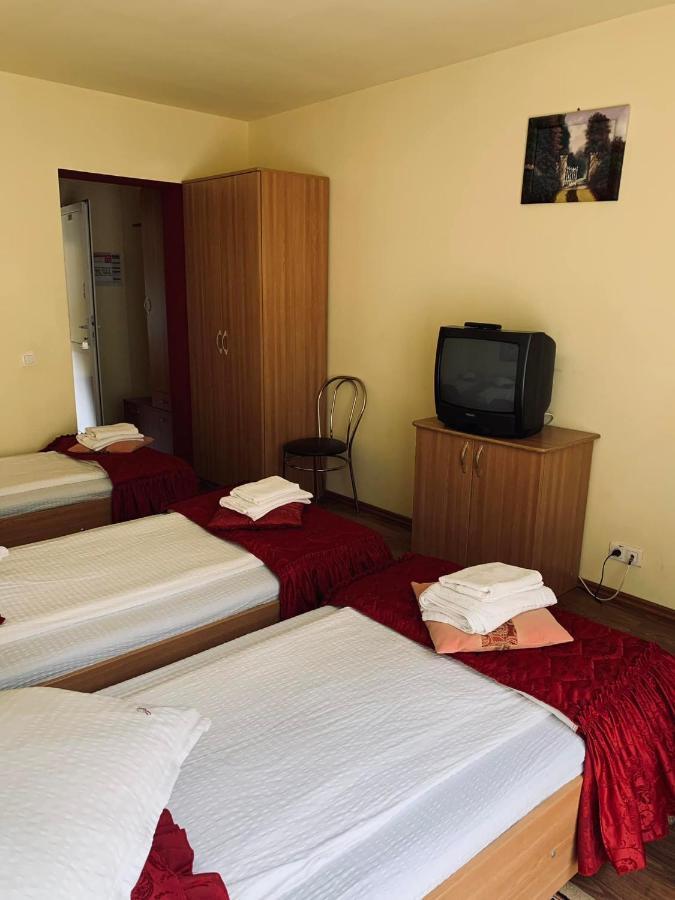 Hotel Pensiunea Pastravul Cîrţişoara Zewnętrze zdjęcie