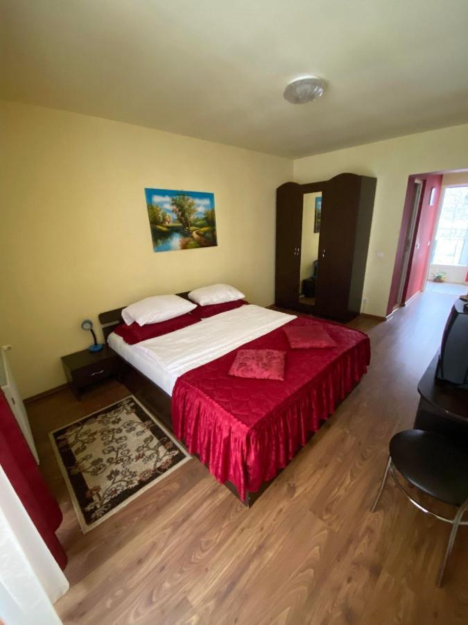 Hotel Pensiunea Pastravul Cîrţişoara Zewnętrze zdjęcie
