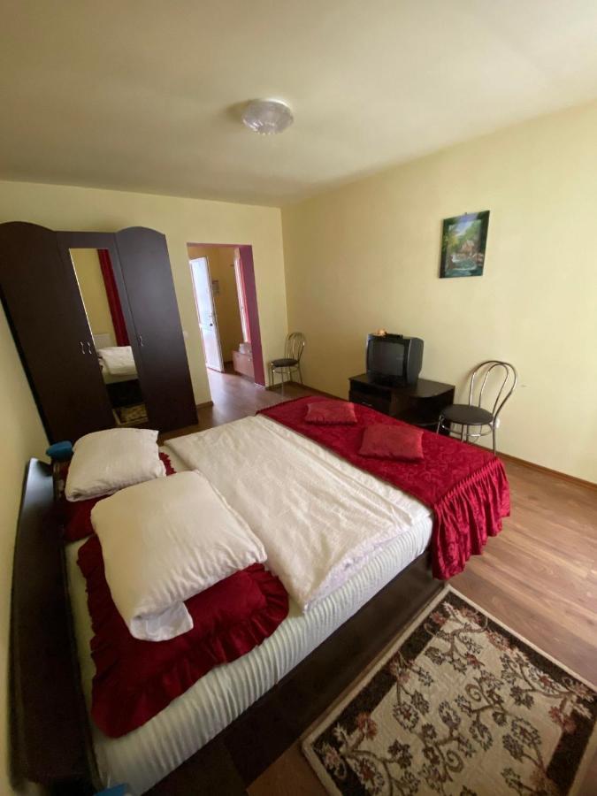 Hotel Pensiunea Pastravul Cîrţişoara Zewnętrze zdjęcie