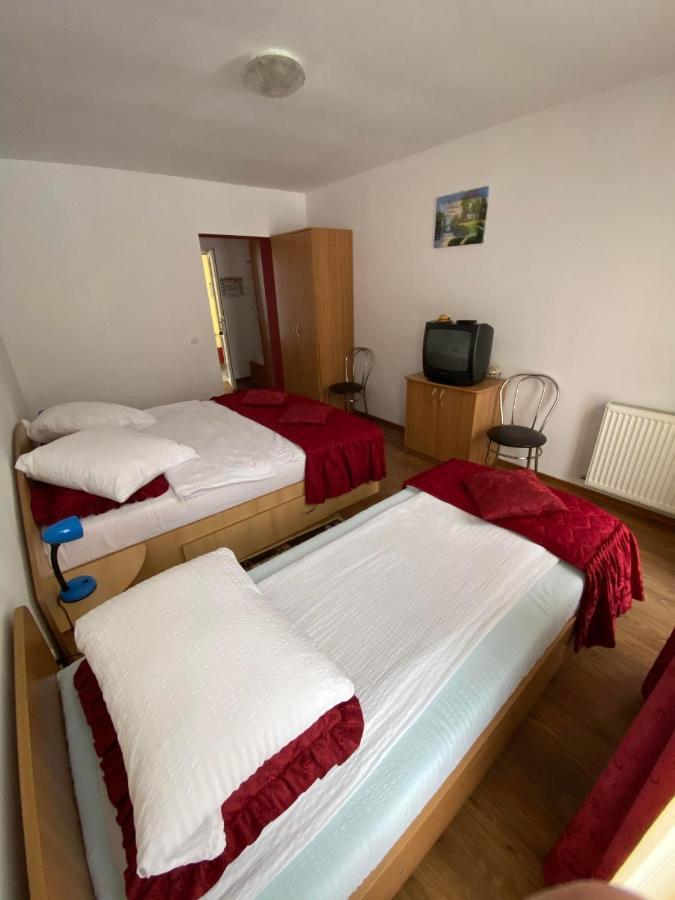 Hotel Pensiunea Pastravul Cîrţişoara Zewnętrze zdjęcie