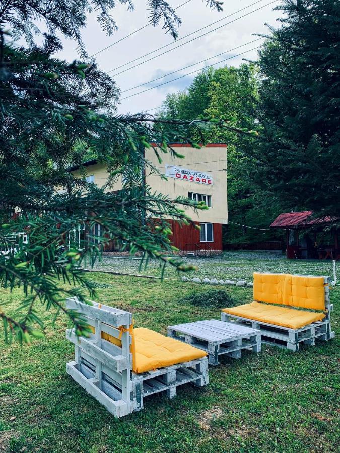 Hotel Pensiunea Pastravul Cîrţişoara Zewnętrze zdjęcie