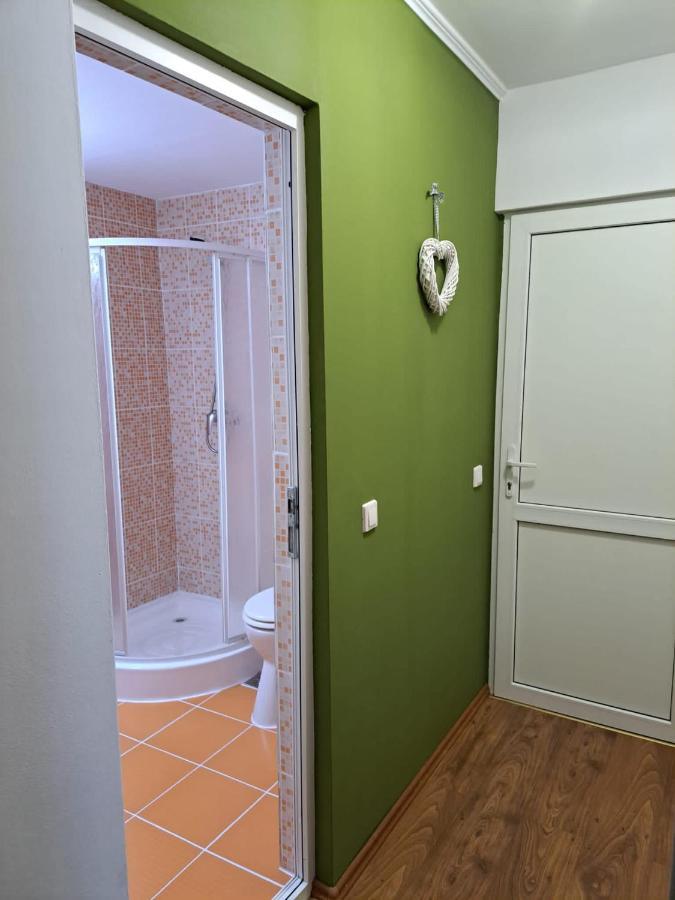 Hotel Pensiunea Pastravul Cîrţişoara Zewnętrze zdjęcie