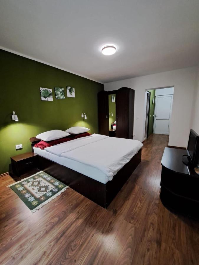 Hotel Pensiunea Pastravul Cîrţişoara Zewnętrze zdjęcie